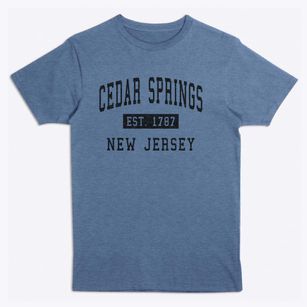 Cedar Springs New Jersey Classic Established Premium T-Shirt