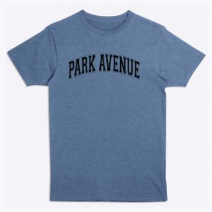 Park Avenue Elementary School Varsity Arch Premium T-Shirt