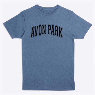 Avon Park High School Varsity Arch Premium T-Shirt