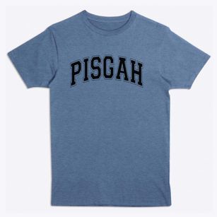 Pisgah Elementary School Varsity Arch Premium T-Shirt