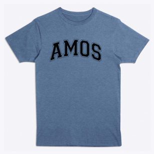 Amos Elementary School Varsity Arch Premium T-Shirt