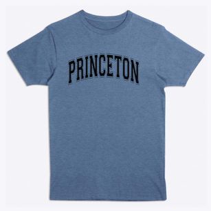 Princeton Elementary School Varsity Arch Premium T-Shirt