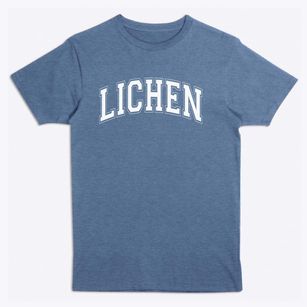 Lichen Elementary School Varsity Arch Premium T-Shirt