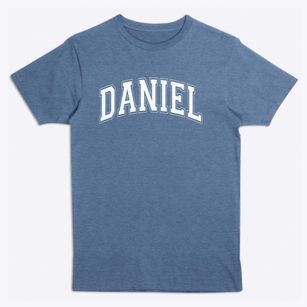 Daniel Intermediate School Varsity Arch Premium T-Shirt