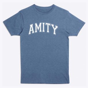 Amity Elementary School Varsity Arch Premium T-Shirt