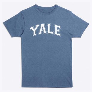 Young Adult Learning Experience Varsity Arch Premium T-Shirt