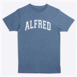 Ps 193 Alfred J Kennedy Varsity Arch Premium T-Shirt