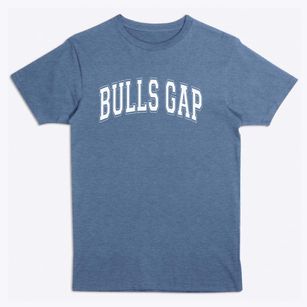 Bulls Gap Elementary School Varsity Arch Premium T-Shirt