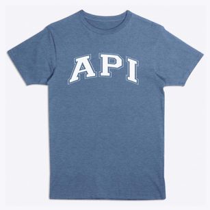 Advanced Preparatory International Varsity Arch Premium T-Shirt