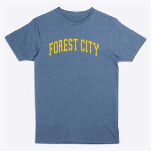 Forest City High School Varsity Arch Premium T-Shirt