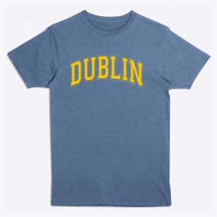 Dublin Intermediate School Varsity Arch Premium T-Shirt