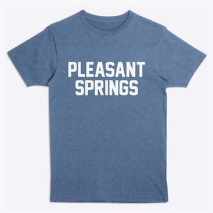 Pleasant Springs Wisconsin Classic Block Premium T-Shirt