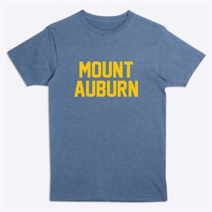 Mount Auburn Illinois Classic Block Premium T-Shirt