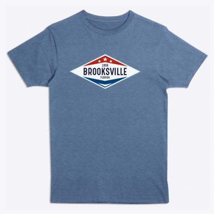 Brooksville Florida Diamond Star Premium T-Shirt