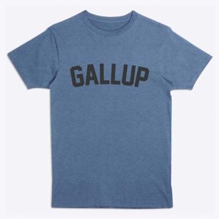 Gallup New Mexico Classic Curve Premium T-Shirt