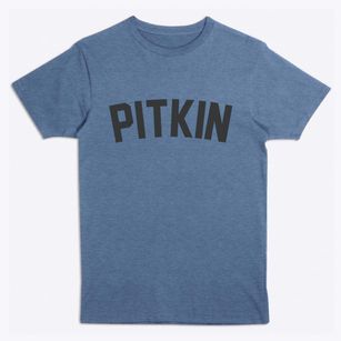 Pitkin Louisiana Classic Curve Premium T-Shirt