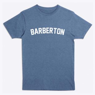 Barberton Ohio Classic Curve Premium T-Shirt