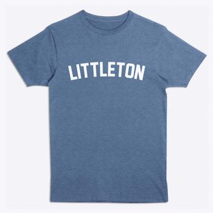 Littleton Illinois Classic Curve Premium T-Shirt