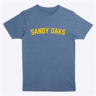 Sandy Oaks Texas Classic Curve Premium T-Shirt