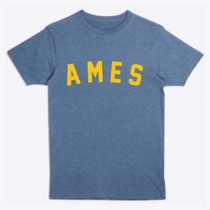 Ames Nebraska Classic Curve Premium T-Shirt