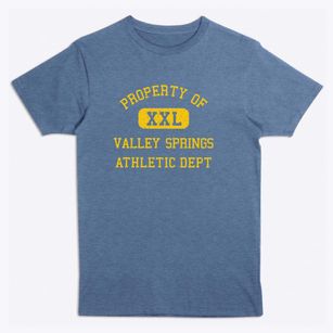 Valley Springs South Dakota Athletic Dept Premium T-Shirt