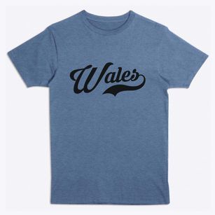 Wales New York Vintage Team Premium T-Shirt