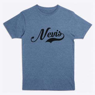 Nevis Minnesota Vintage Team Premium T-Shirt