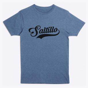 Saltillo Pennsylvania Vintage Team Premium T-Shirt