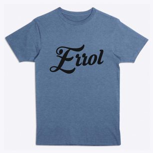 Errol New Hampshire Vintage Team Premium T-Shirt