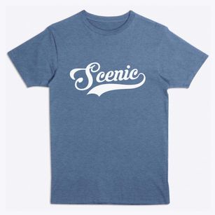 Scenic Arizona Vintage Team Premium T-Shirt