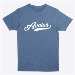 Avalon New Jersey Vintage Team Premium T-Shirt