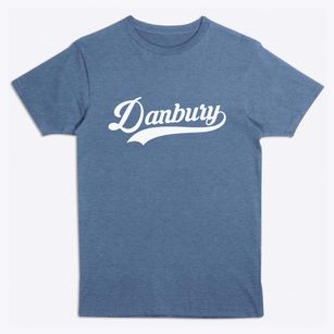 Danbury Wisconsin Vintage Team Premium T-Shirt