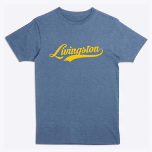Livingston New York Vintage Team Premium T-Shirt