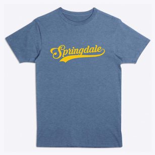 Springdale Pennsylvania Vintage Team Premium T-Shirt