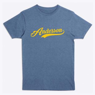 Anderson Missouri Vintage Team Premium T-Shirt