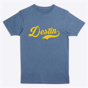 Destin Florida Vintage Team Premium T-Shirt