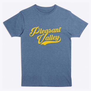 Pleasant Valley New York Vintage Team Premium T-Shirt