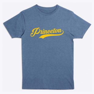 Princeton Indiana Vintage Team Premium T-Shirt