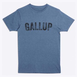 Gallup New Mexico Timeless Retro Premium T-Shirt
