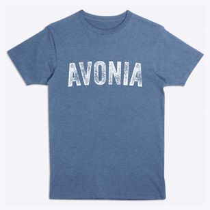 Avonia Pennsylvania Timeless Retro Premium T-Shirt