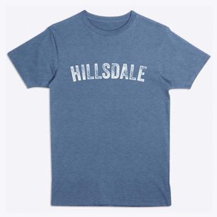 Hillsdale New Jersey Timeless Retro Premium T-Shirt