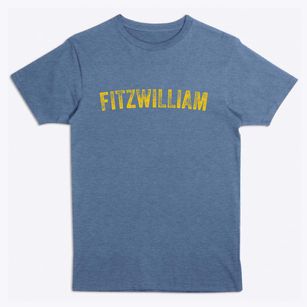 Fitzwilliam New Hampshire Timeless Retro Premium T-Shirt