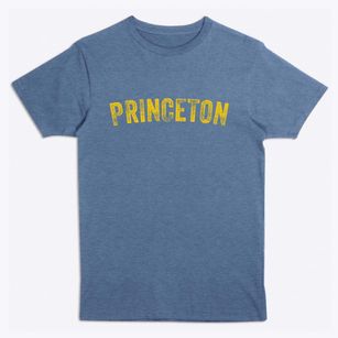 Princeton Iowa Timeless Retro Premium T-Shirt