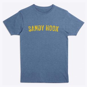 Sandy Hook Wisconsin Timeless Retro Premium T-Shirt
