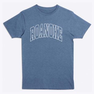 Roanoke Illinois Trendy Block Premium T-Shirt