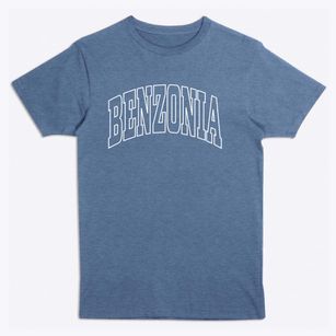 Benzonia Michigan Trendy Block Premium T-Shirt