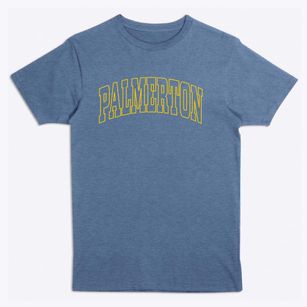 Palmerton Pennsylvania Trendy Block Premium T-Shirt