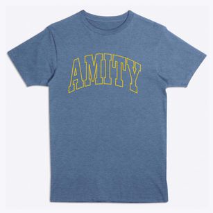 Amity Arkansas Trendy Block Premium T-Shirt
