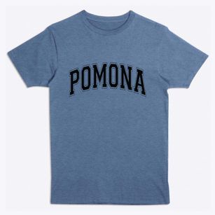 Pomona New York Varsity Premium T-Shirt