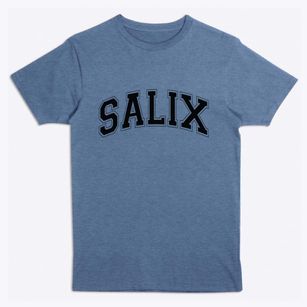 Salix Pennsylvania Varsity Premium T-Shirt